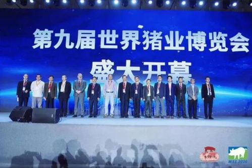沈陽偉嘉 以精準技術洞察驅動卓越網絡服務